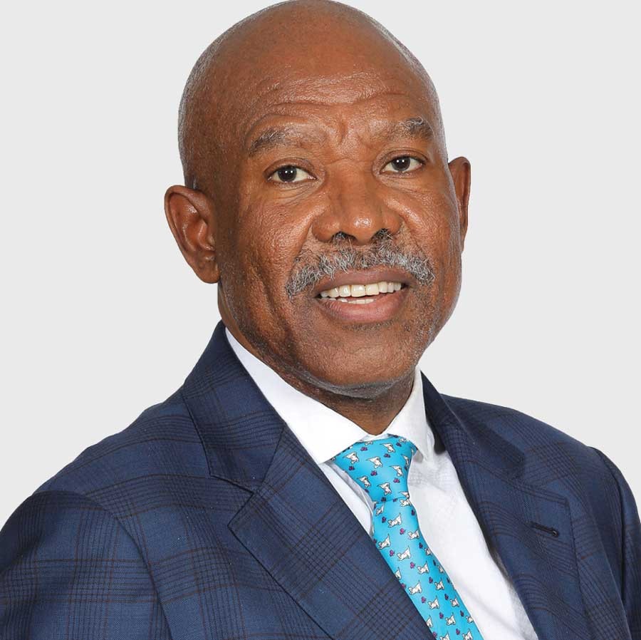 Mr E L (Lesetja) Kganyago