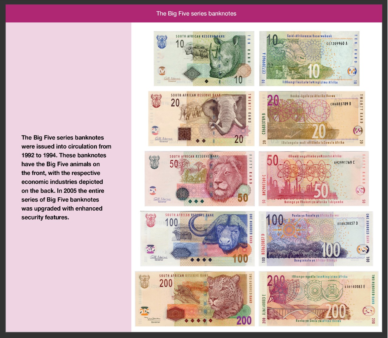 Big five series banknotes